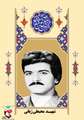 زندگی نامه شهید محبلی ژیانی