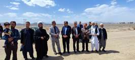کاشت ۲۴۰۰ نهال به یاد شهدای استان سیستان و بلوچستان در زاهدان